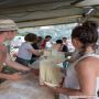 20160723_18-17-31_IMG_1664